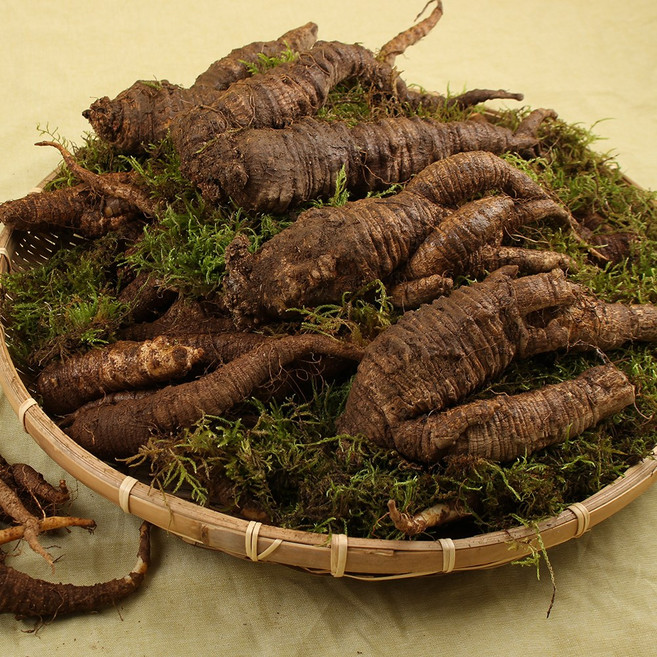 유기농 강원도 정선 산더덕 (대) 향 깊은 프리미엄 자연산!, 2개, 1kg