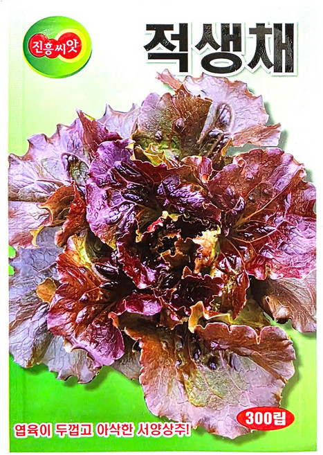 세인화분 적생채 상추 씨앗 500립 - 상추씨 채소 씨 생채상추