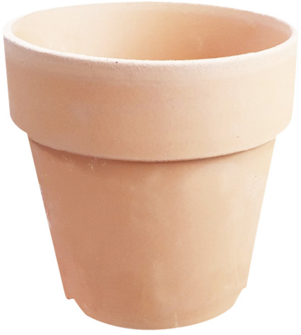 금란의정원 국산 15호 1개 KF94 마스크 증정)