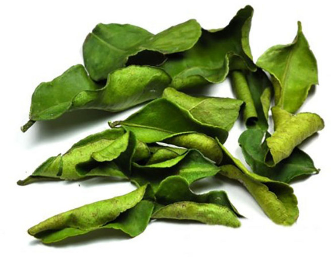 알라딘푸드 태국산 건 라임잎 태국 항공직송, 1개, 100g