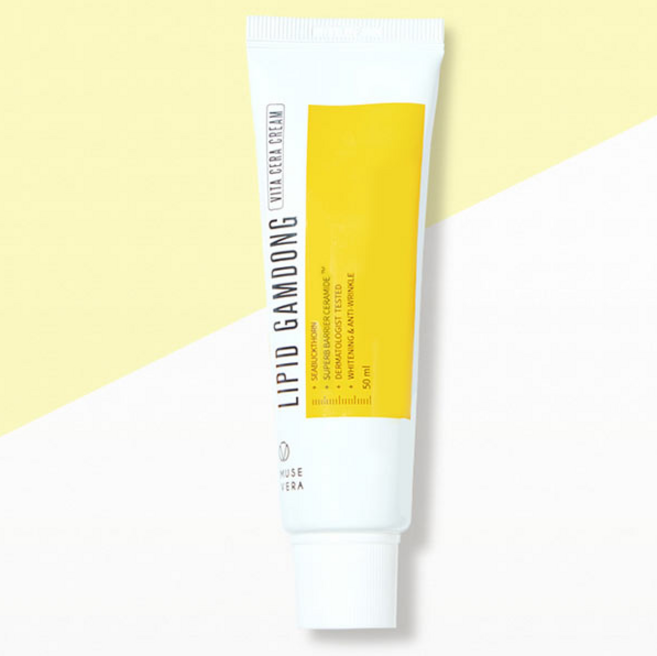 뮤즈베라 리피드 감동 비타 세라 크림, 1개, 50ml