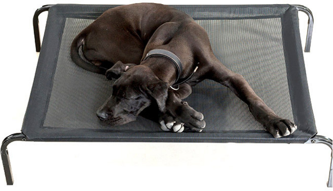 HAKKI 애견침대 강아지침대 고양이침대 소형견~대형견 매쉬해먹 쿨매트 방석 강아지해먹, 1개