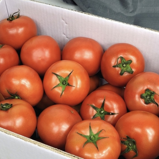 [대형마트납품] 정품 유럽종 완숙 찰 토마토, 1박스, 2kg(로얄과)