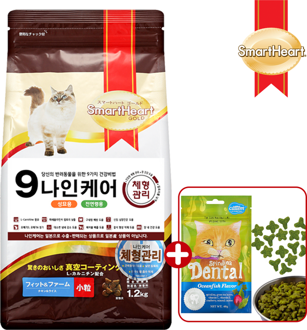 [사은품] 나인케어 캣 체형관리 고양이 사료 다이어트 체중 저칼로리 + 이빨과자 사은품, 6kg, 1개, 닭