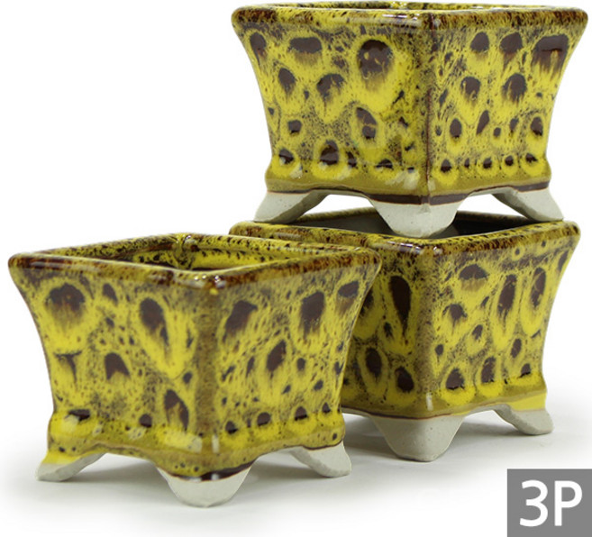 세인화분 국산 여주 사각 다육이 화분 3개세트, 1개, 노랑