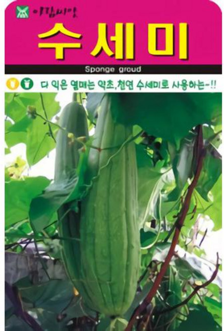 천연 수세미 씨앗(20립)(A0604), 1개