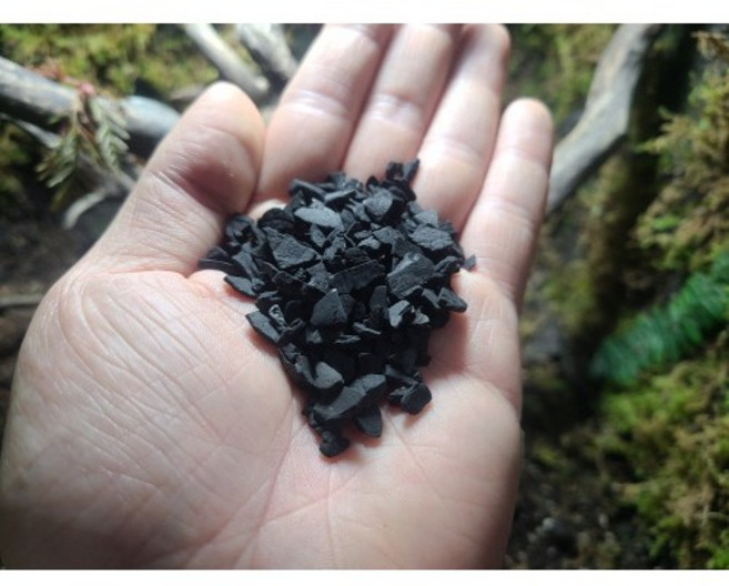 1등급 테라리움 활성탄 야자숯 200g ( 곰팡이방지 탈취제 재료 바닥재 ), 1개