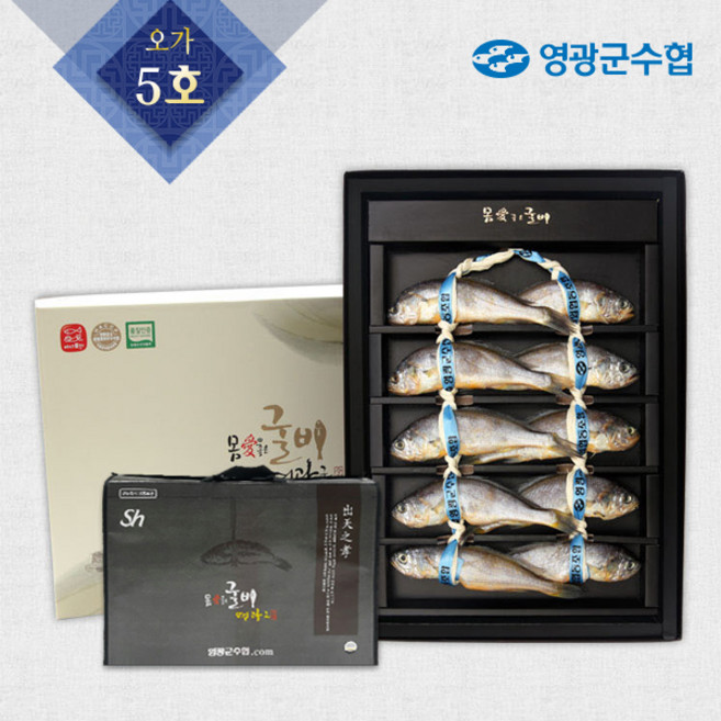 영광군수협 몸애좋은 영광굴비 오가 5호 1.4kg 10미+가방, 단품, 단품