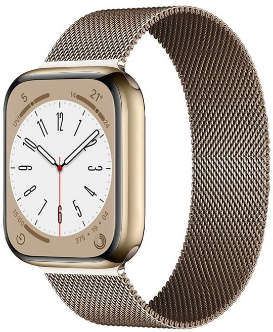適用 Apple Watch 不鏽鋼編織 米蘭磁吸錶帶 42/46/49mm, 香檳金, 1個