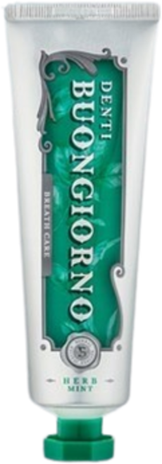 아토세이프 덴티 본조르노 민트향 구취케어 치약, 100g, 1, 1개