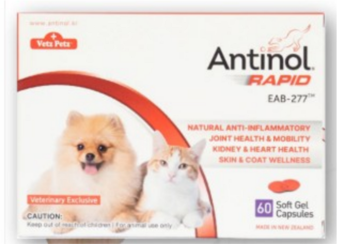 안티놀 래피드 60정 강아지 고양이 관절 조인트 영양제, 1개