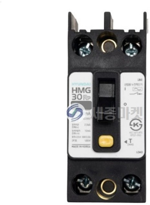 현대 누전차단기 HMG 30RP 2P 20A 30mA 현대일렉트릭, 1개
