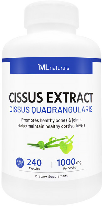 [미국빠른직구] 신제품 마이라이프 내추럴스 50배 고농축 시서스 추출물 1000mg (수퍼사이즈), 240정, 1개