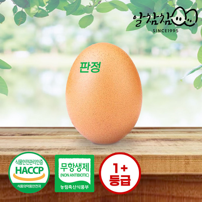 알참참 신선하고 맛있는 무항생제 1+등급 특란 HACCP인증 생란 계란 달걀, 1개, 30구