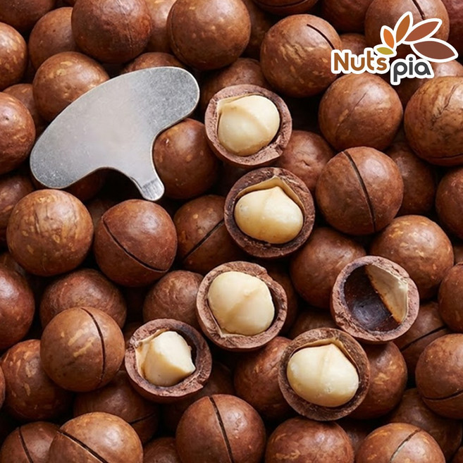 넛츠피아 까먹는 통 마카다미아 껍질 인쉘, 1개, 1kg