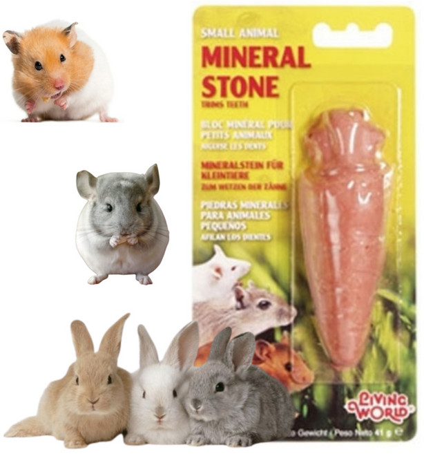 소동물간식 기니피그간식 친칠라 햄스터 구강케어, 1개