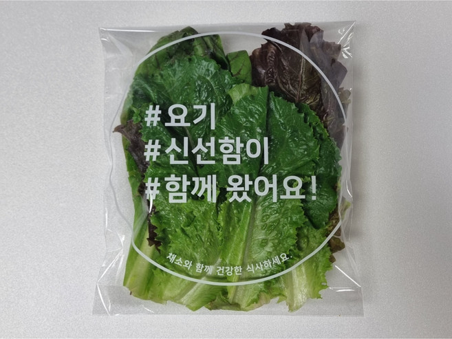 마이크로펀칭 채소봉투(소) 1000장 (190x235+M35+40mm), 1세트, 1000개입, 소(S)