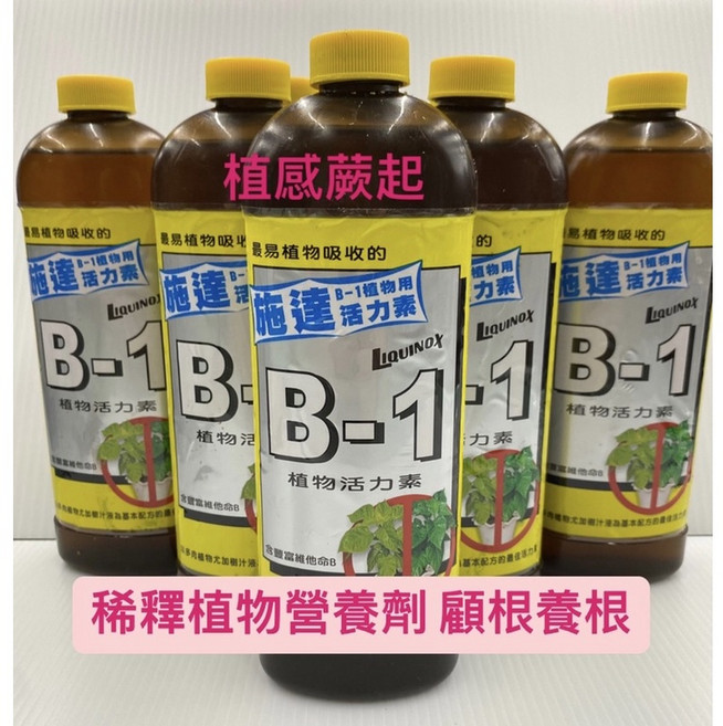 植感蕨起 施達 液肥 B1活力素 300cc 稀釋 觀葉 鹿角蕨 盆栽 養葉 促進生長 蕨類 植物營養劑 養根, 1個