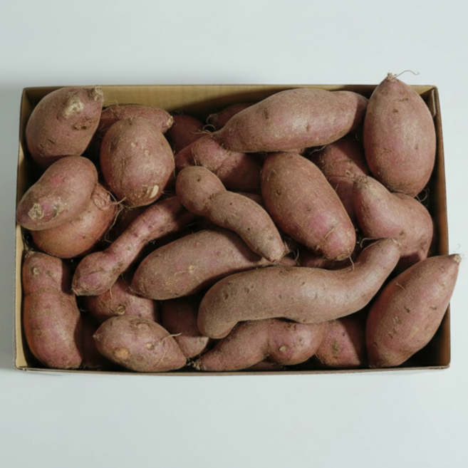 레드이츠 가정용 고구마 꿀고구마, 1박스, 못난이 5kg