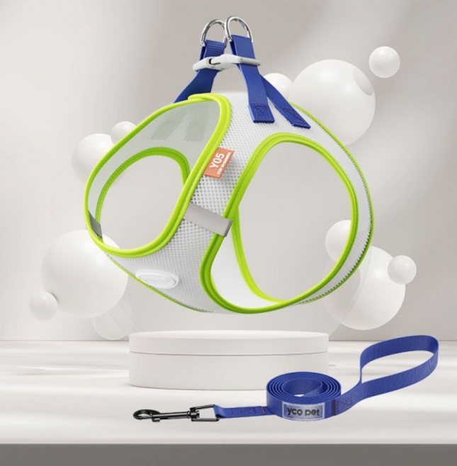 펫올웨이즈 강아지 하네스 리드줄 세트, 그린
