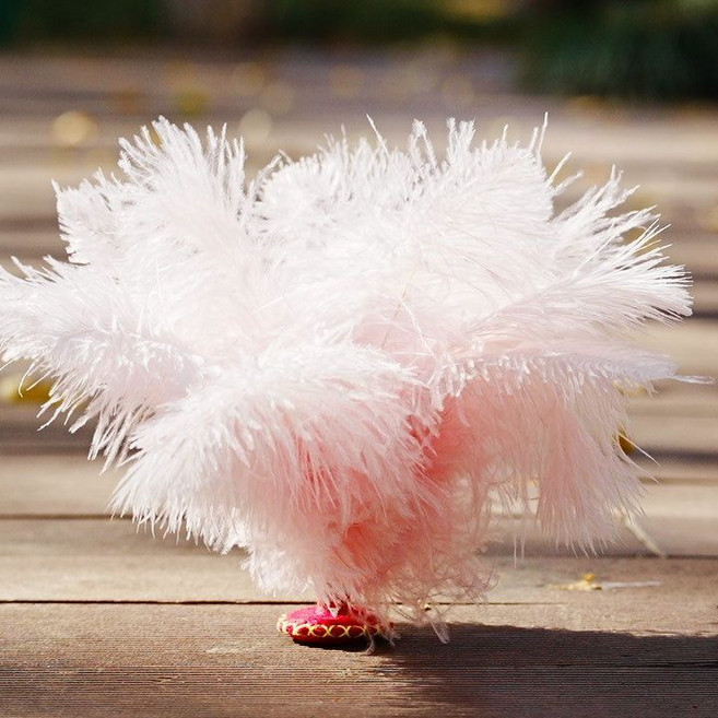 鴕鳥毛毽子 手工兒童成人健身運動, 1個, 天然鴕鳥毛毽子【手工底座】,大款灰色