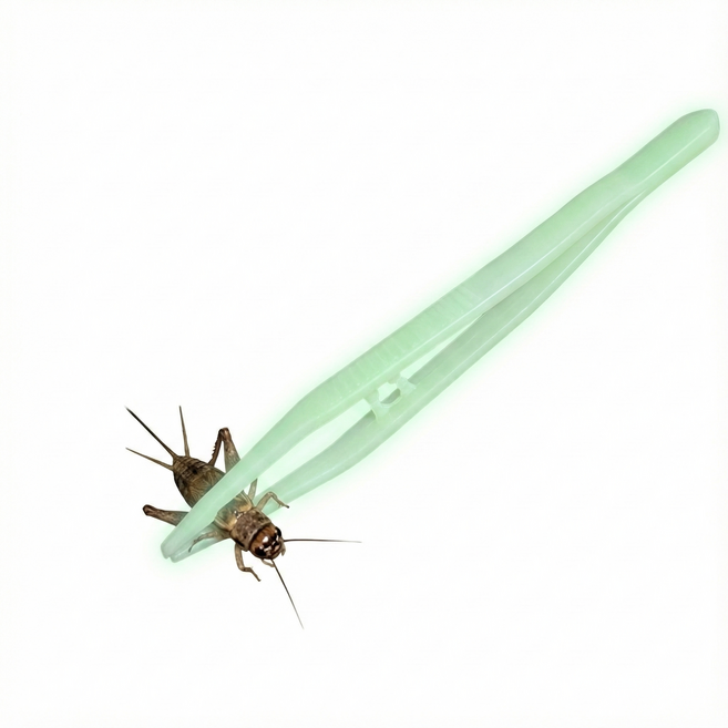 알찬마켓 구내염 방지 소프트 파충류 핀셋 야광 플라스틱 피딩 핀셋, 1개