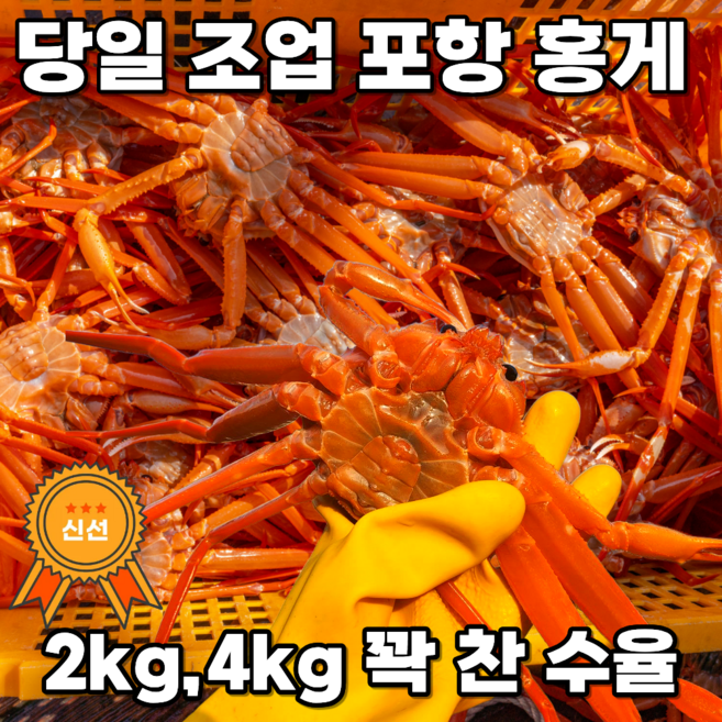 [동해 당일조업]산지 직송 자숙홍게! 살 꽉찬 프리미엄 수율보장 홍게, 1박스, 2kg 5-8미 (수율60이상)