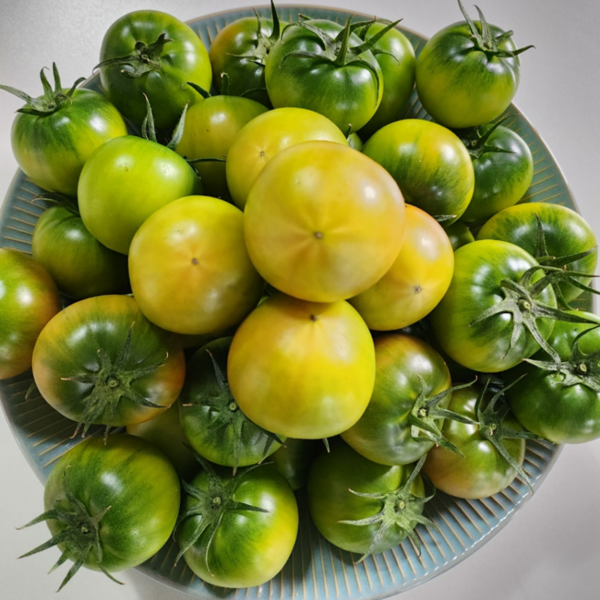 [평가1위] 고당도 부산 대저토마토 짭짤이, 1박스, 2.5kg (L~2L)