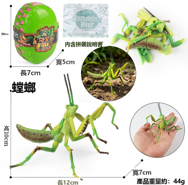 Tonkon儿童认知仿真昆虫动物模型4D立体拼装蚂蚁蝴蝶甲虫锹形虫天牛, 1個, 4D拼裝59663螳螂:如圖所示6230