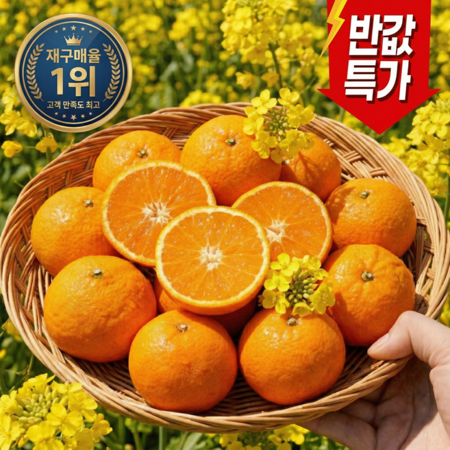 [마지막한정특가]딱100박스만 제주 초고당도 꿀과즙 카라향, 1박스, 2kg