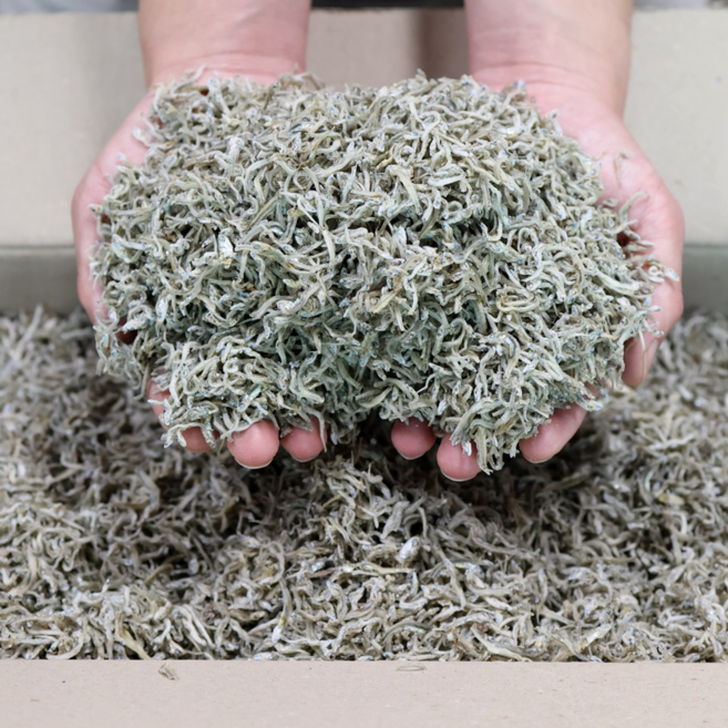 농협에도 납품되는 100%국내산 건강에 좋은 해날 햇 지리 세멸치 1.5kg 1개