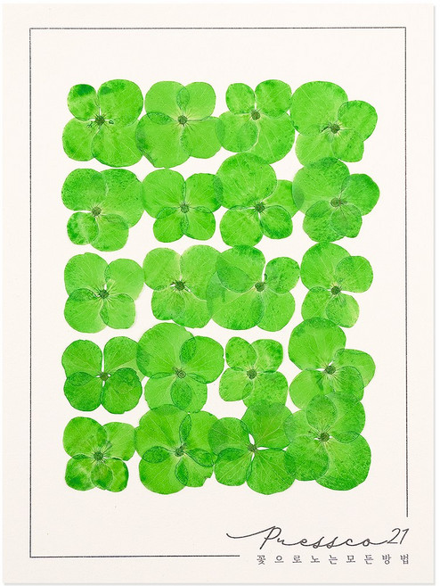 프레스코21 압화 꽃송이 수국 B형(연녹색) 20p