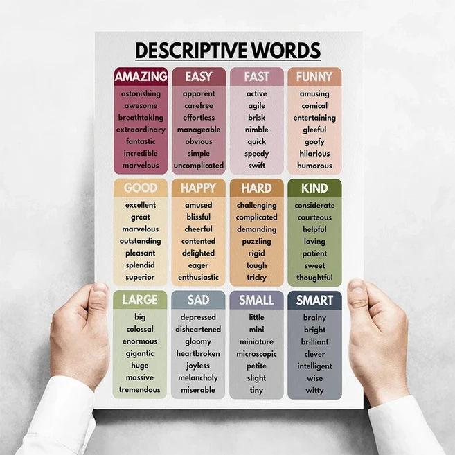 쿠쿠스토어 영어 동사 시제 문법 차트 교실 포스터 교육 인쇄 가능, 03 30x42cm, 14 10