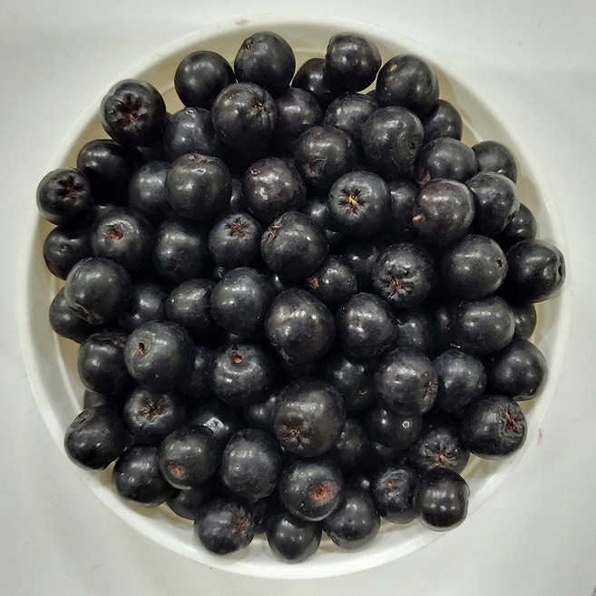 백운팜 꼭지제거 햇 아로니아 생과(급냉) 3kg 5kg 1kg씩 진공포장 에어세척, 1개, 1kgx5