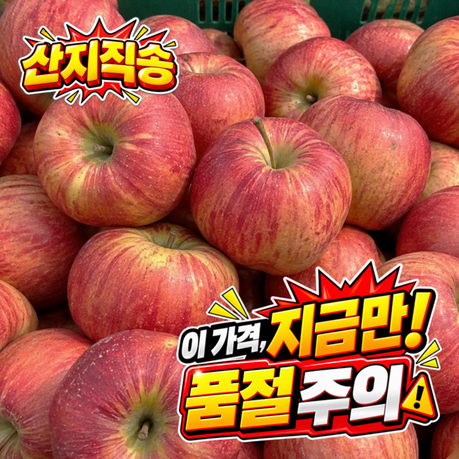 [초특가/산지 수확 후 발송] 경북 영주 고당도 가정용/못난이 햇홍로 사과 3kg 5kg 10kg_크기랜덤, 1박스