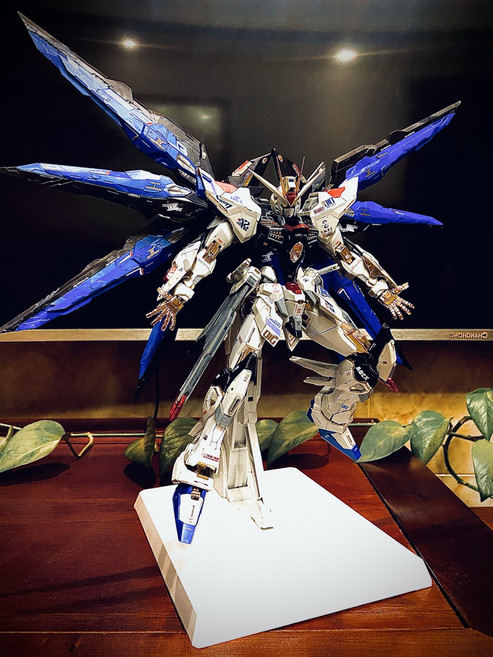 MG 다반 스트라이크프러덤 8802 대륙 중국 건담, 1세트