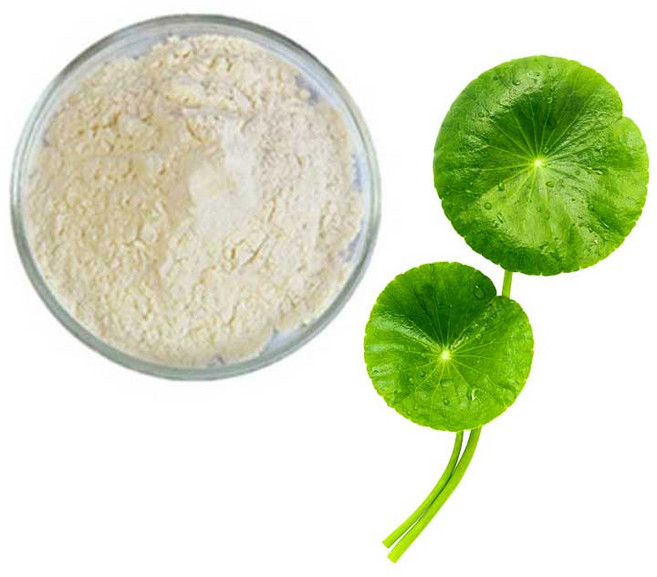 병풀추출분말 100g 샘플, 1개