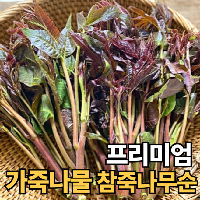 [100박스특가] 국산 가죽나물 참죽나무순 자연산, 1박스, 500g