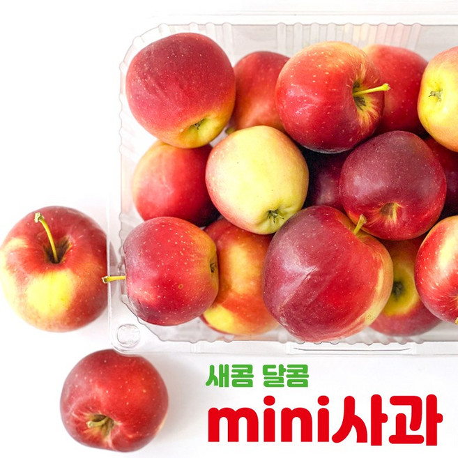 [새콤달콤] 고당도 경북 루비에스 천홍 미니사과 작은 꼬마 사과, 1개, 4kg