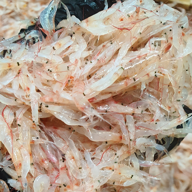 인천 김장용 생새우 동백하 25년 9월 조업 급속 냉동 1kg / 2kg / 3kg, 인천 김장 생새우 1kg (1팩), 1개
