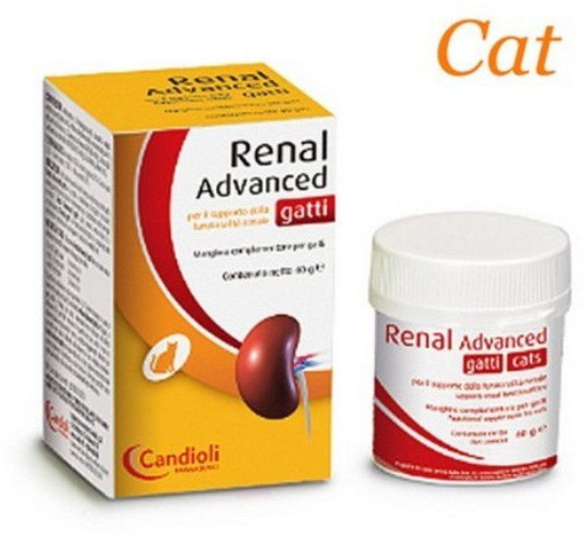 레날어드밴스드 캣 40g 고양이 신장질환 보조제, 비타민, 신장, 2팩