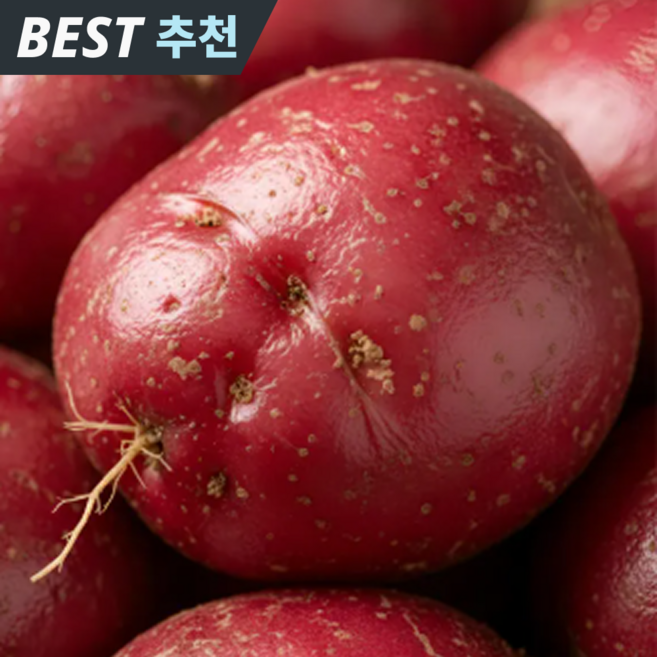 [재구매1위] 농가직송 제철인기 포슬담백 홍감자, 1개, 3kg