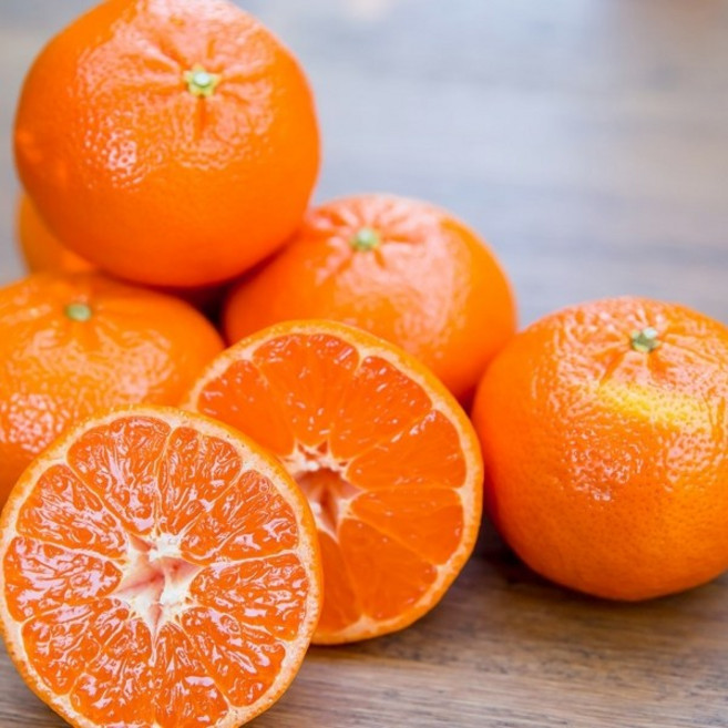 항공직수입 고당도 수입감귤 프리미엄 미국 만다린, 1박스, 고당도 수입감귤 프리미엄 만다린 3kg