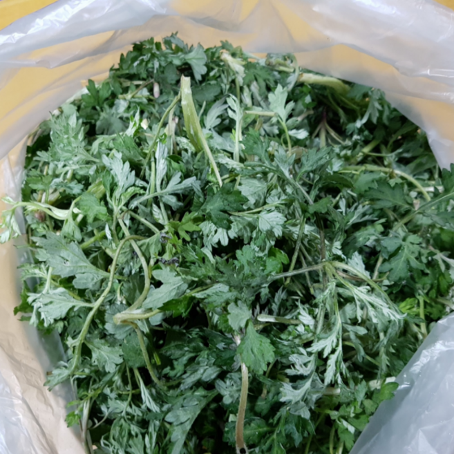 [당일수확냉동] 여수 거문도 냉동쑥 싱싱이네, 1개, 2kg