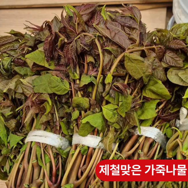가죽나물 가죽순 참죽나물순 참가죽나물 가죽나물순, 1개, 250g