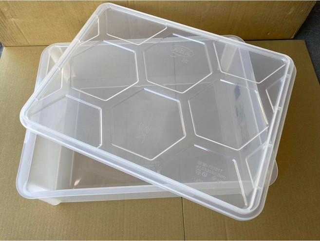 糖軒町 AHA 專業小發酵箱【收納箱/麵糰箱/披薩箱/發酵盒], 透明, 1個