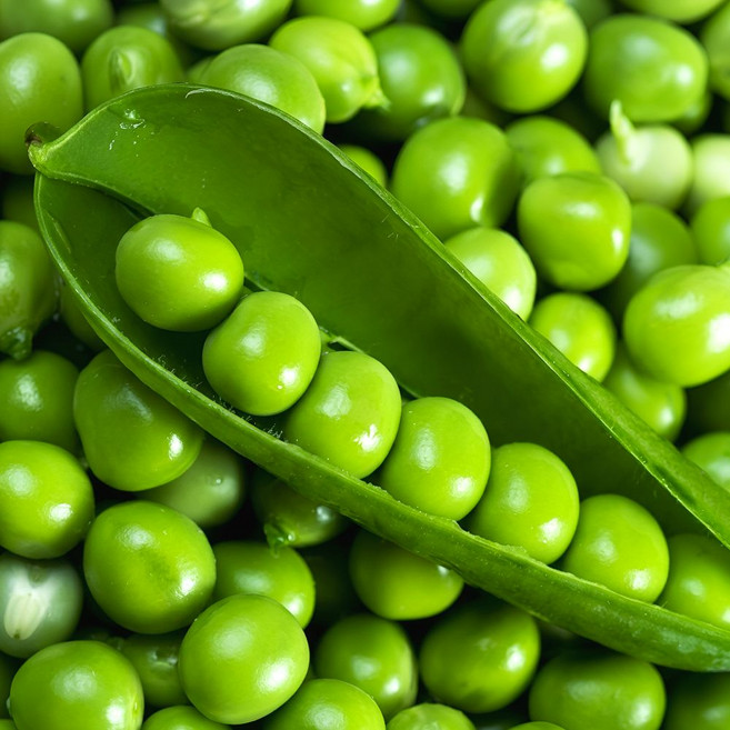 [최상급원물] 재구매율1위 국산 완두콩, 1박스, 500g