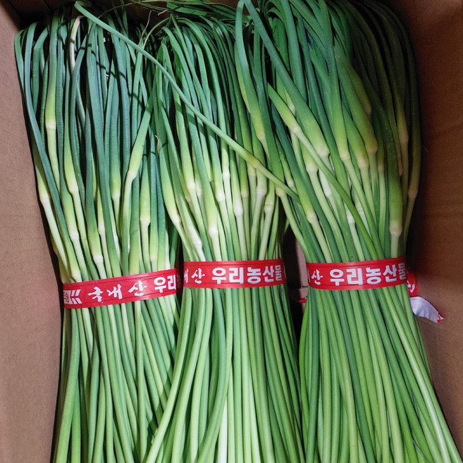 [렛츠팜] 국산 마늘쫑 제주 장아찌 무침 생 햇 마늘종 2kg, 1박스