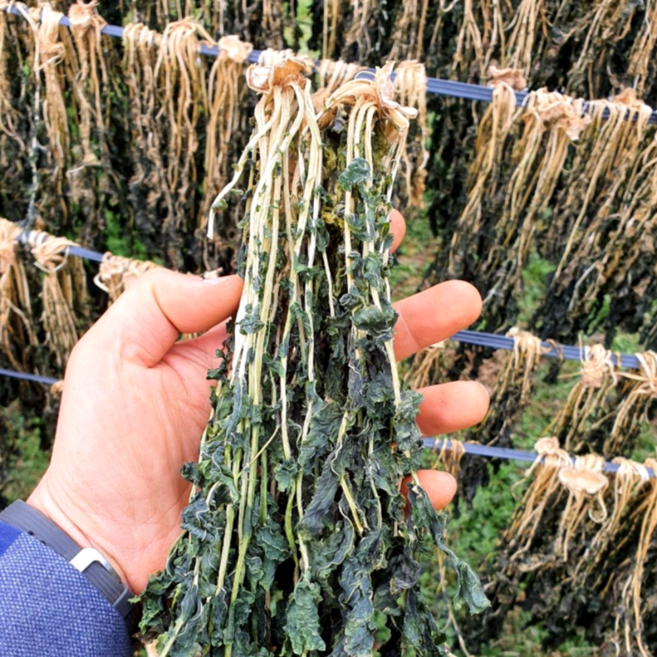 제주 겨울 햇 무청시래기 2kg 대용량 자연 해풍에 말린 건시래기 요리용 업소용, 2kg/박스, 1개