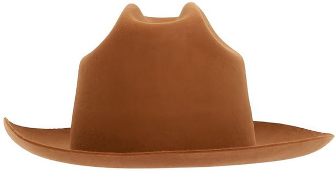 라르디니 펠트 페도라